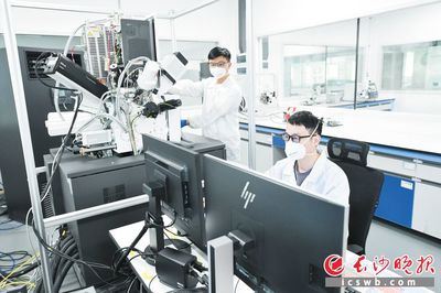 巴斯夫杉杉 技术研发驱动，打造全球领先的电池正极材料供应商